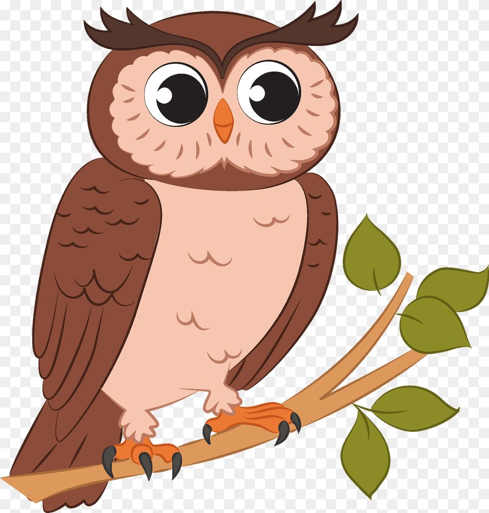 Owl Clipart, Animal, Bird, Face, Head Free Png Download