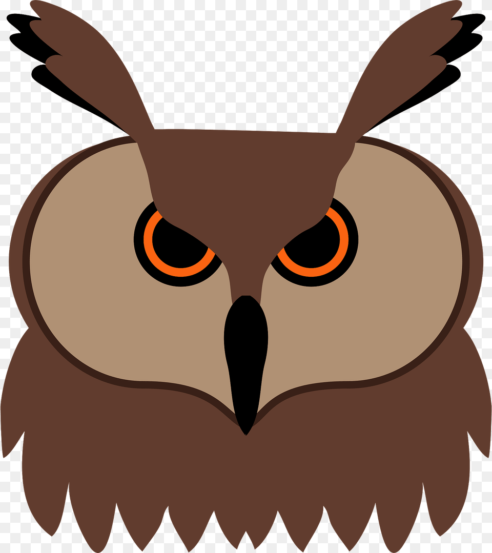 Owl Clipart, Animal, Beak, Bird, Baby Free Png Download