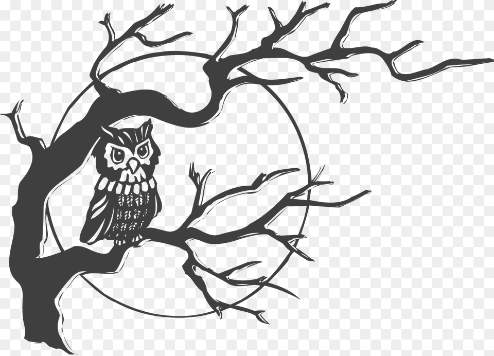 Owl Clipart, Animal, Bird Free Png