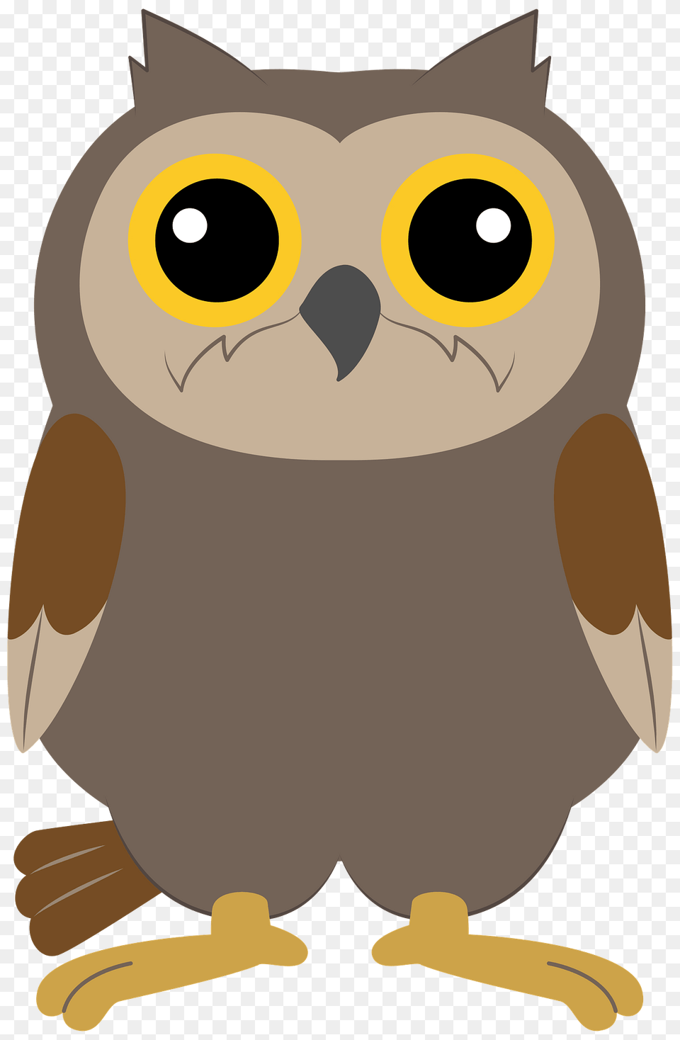 Owl Clipart, Animal, Beak, Bird, Fish Png Image
