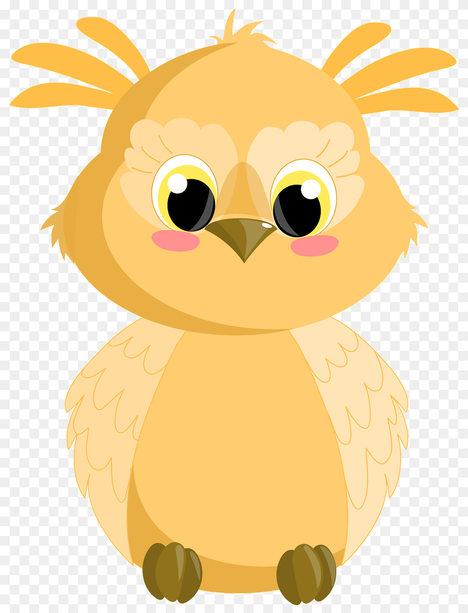 Owl Clipart, Animal, Bird, Chicken, Fowl Png Image