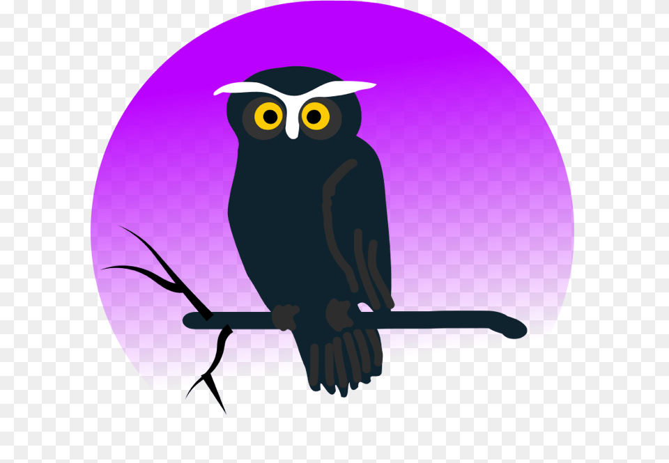 Owl Clipart, Cap, Clothing, Hat, Animal Png