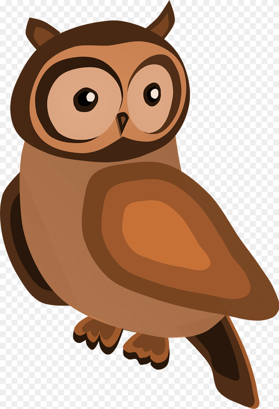Owl Clipart, Animal, Bird, Bear, Mammal Free Png