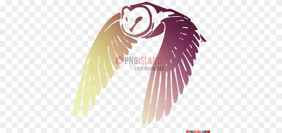 Owl Cog Image With Transparent Background Photo Lovely, Animal, Bird, Jay, Person Free Png