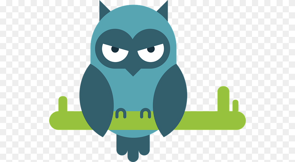 Owl Comic Animal Portrait Animal Picture Design Owl Comic Free Transparent Png