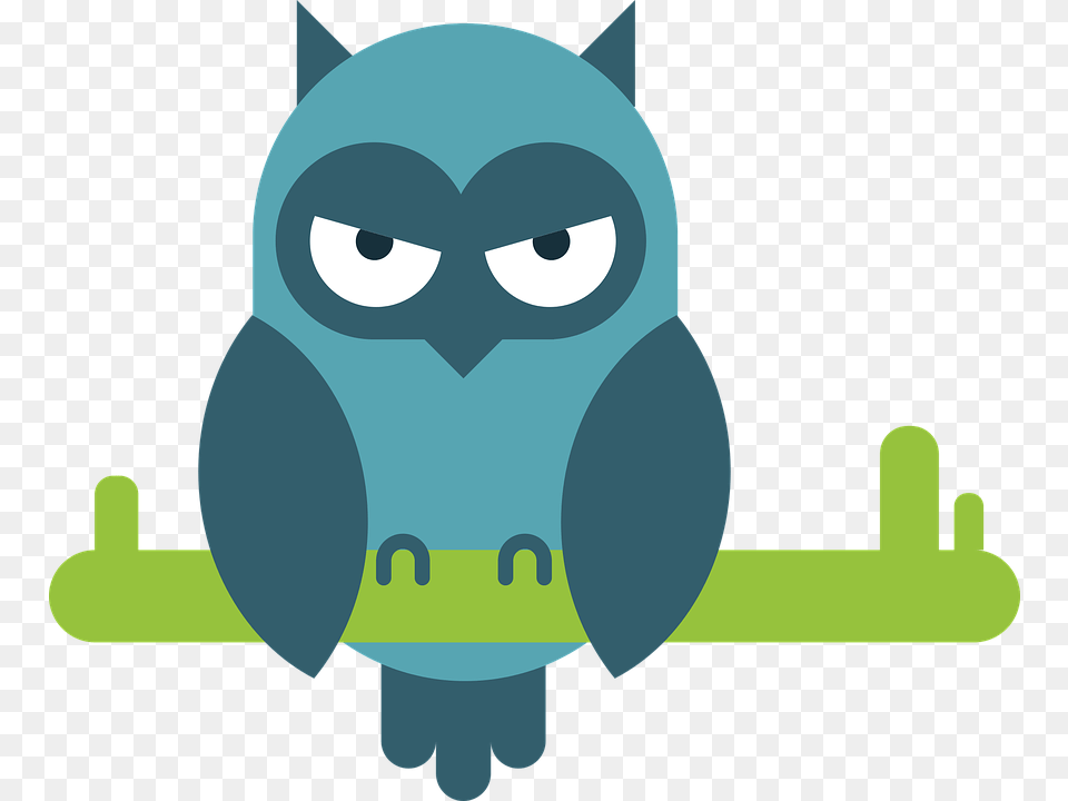 Owl Comic Animal Portrait Animal Picture Design Owl Comic, Face, Head, Person Free Png Download