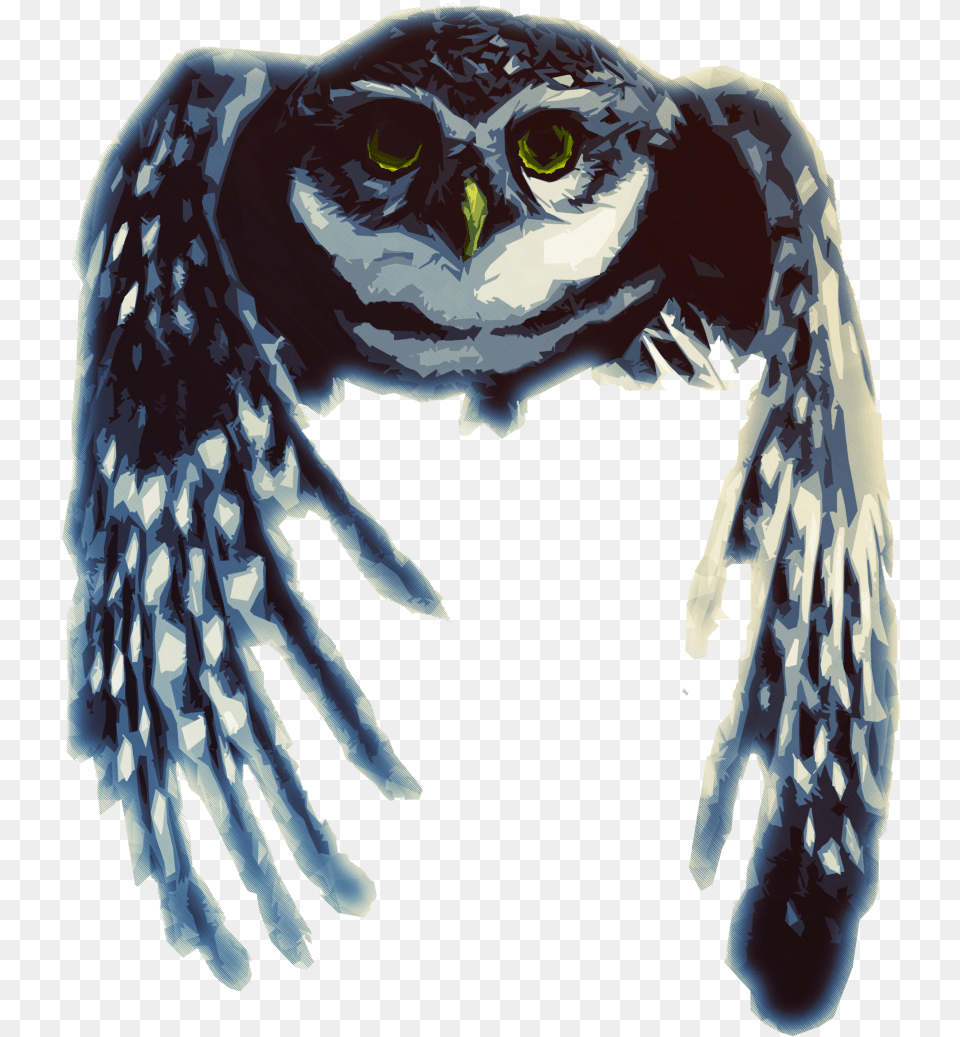 Owl Design Small Screech Owl, Person, Face, Head, Animal Png Image