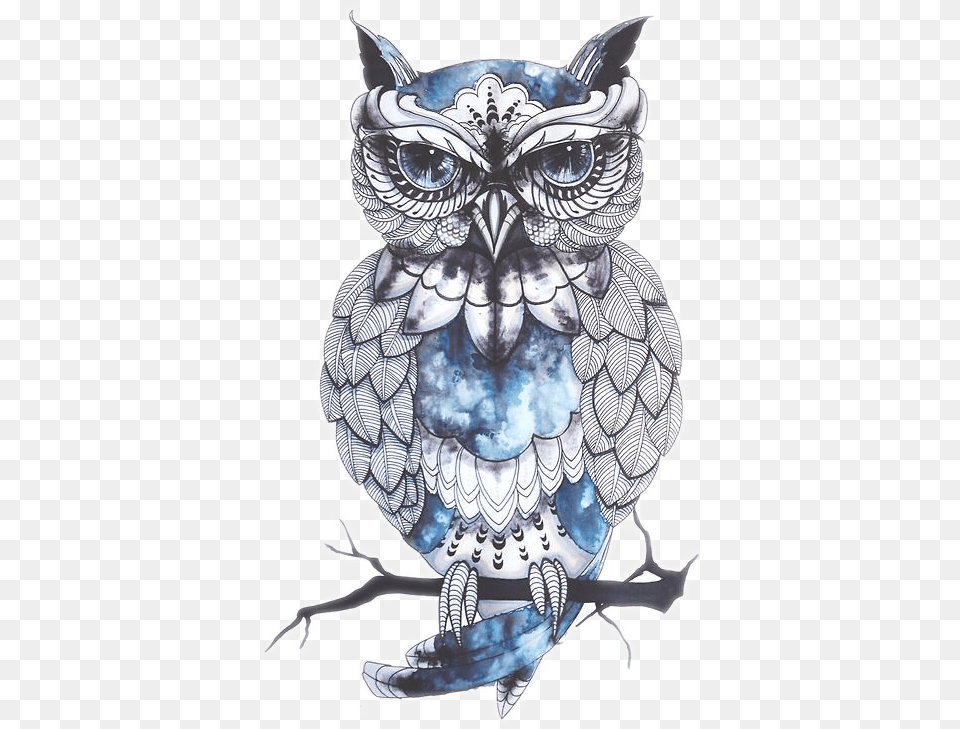 Owl Drawing Artist Bird Tattoo Photo Dalin 4 Sheets Temporary Tattoos Blue Owl Cat Fox, Art, Animal Free Png