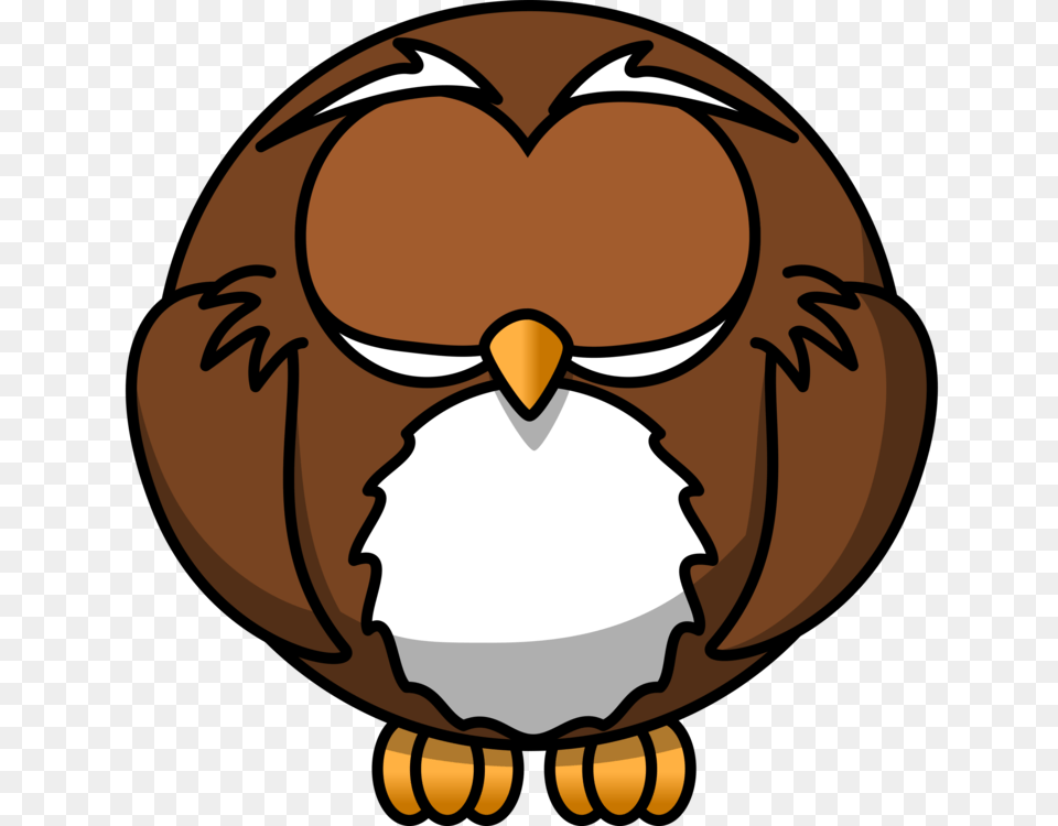 Owl Drawing Cartoon Animation, Person, Animal, Beak, Bird Free Png