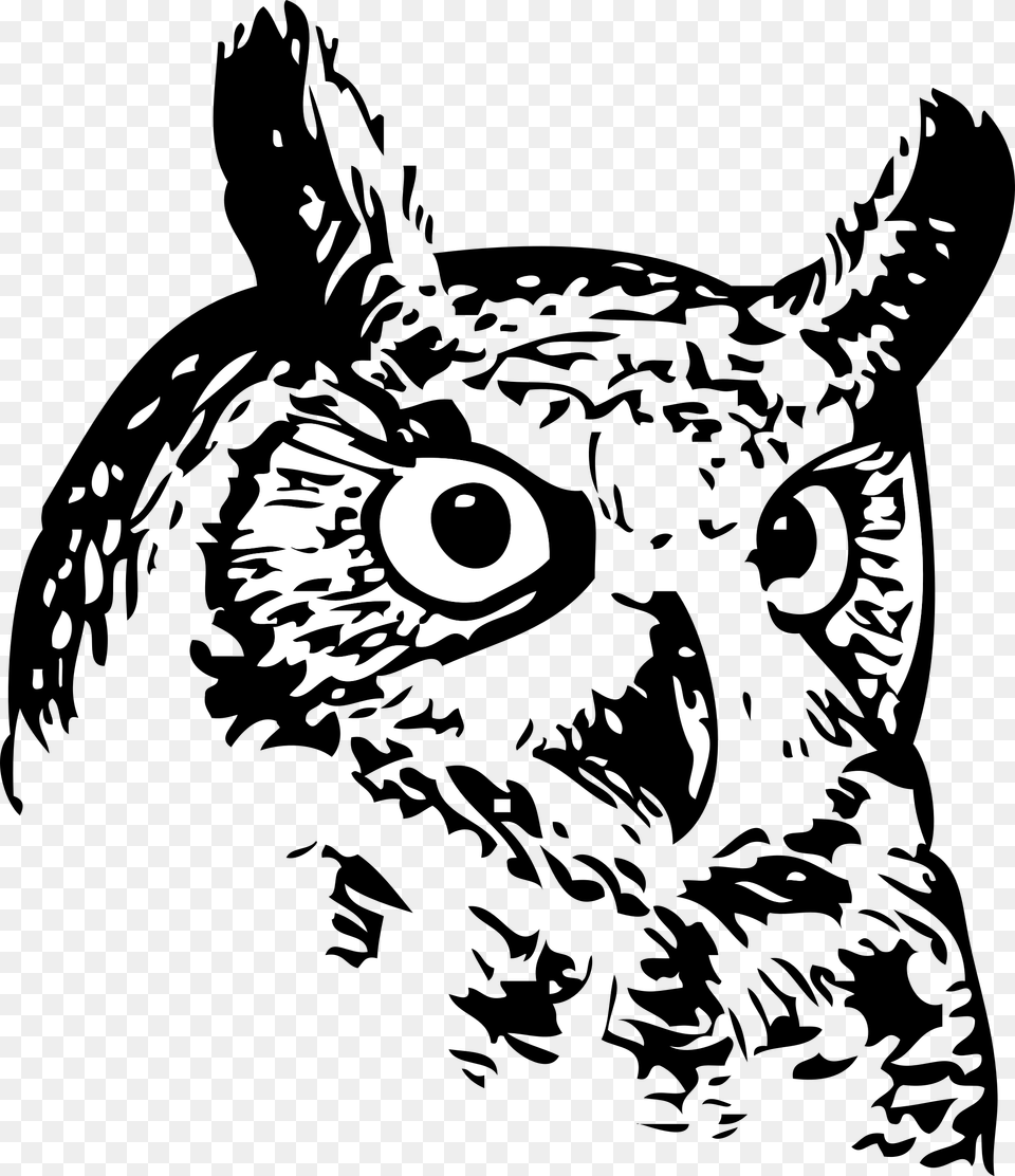 Owl Drawings Of Owl S Face Hughes Owls, Silhouette, Art, Drawing Png Image