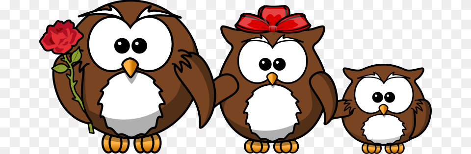 Owl Family, Baby, Person, Face, Head Png Image