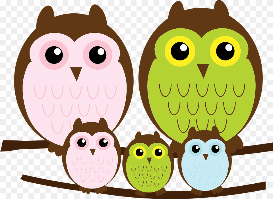 Owl Family Clipart, Animal, Bear, Mammal, Wildlife Png