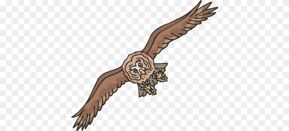 Owl Flying Owl Clip Art, Animal, Bird, Vulture, Kite Bird Free Transparent Png