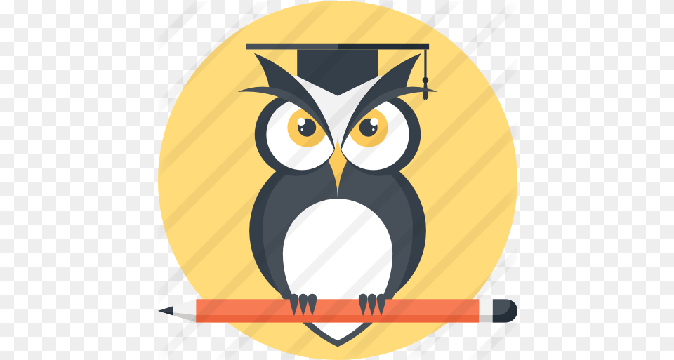 Owl Free Animals Icons School Owl Icon, People, Person, Disk Png Image