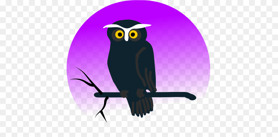 Owl Free Clipart, Animal, Bird, Clothing, Hat Png