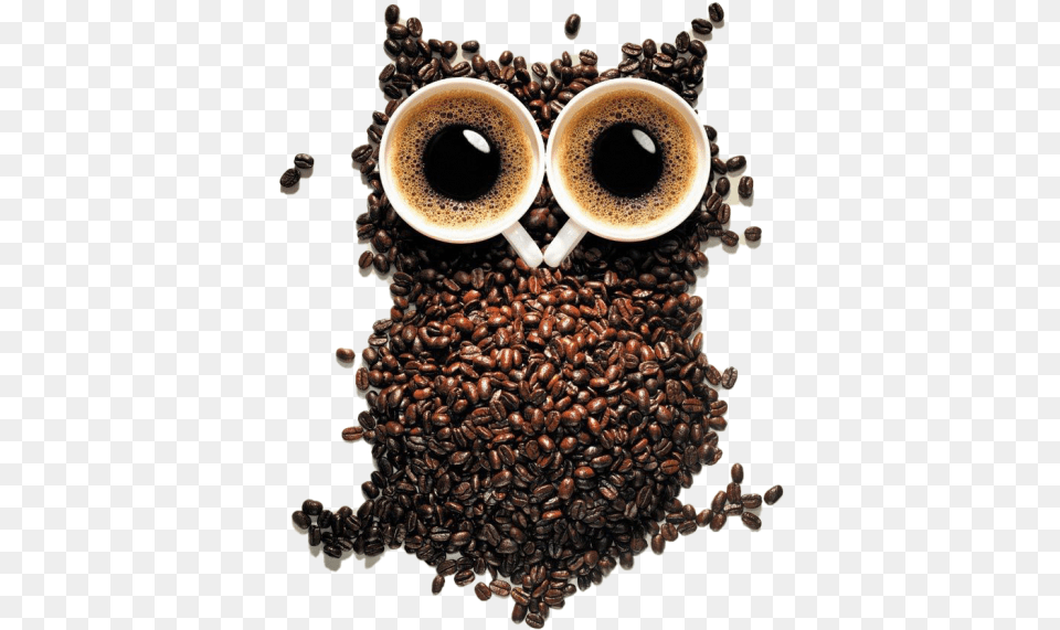 Owl From Coffee Coffee Owl, Cup, Beverage, Coffee Cup Free Png