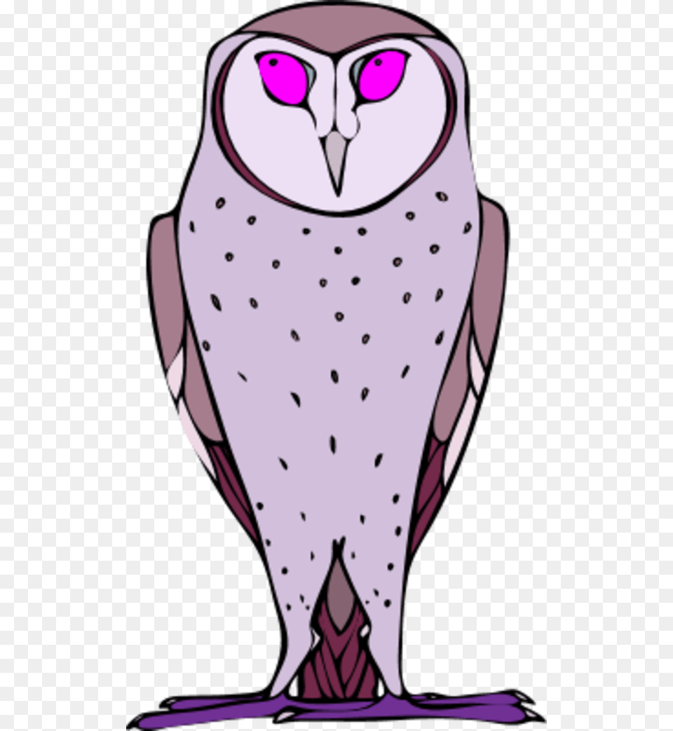 Owl Funny Cartoon Civetta, Adult, Animal, Bird, Female Free Png Download