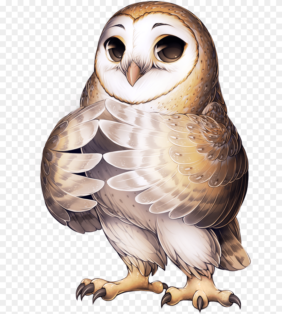 Owl Furry, Animal, Bird Free Png