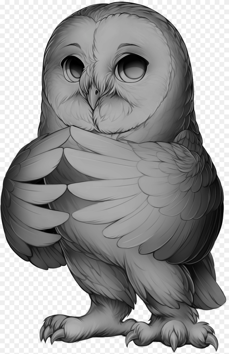 Owl Grey, Art, Drawing, Baby, Person Free Png Download