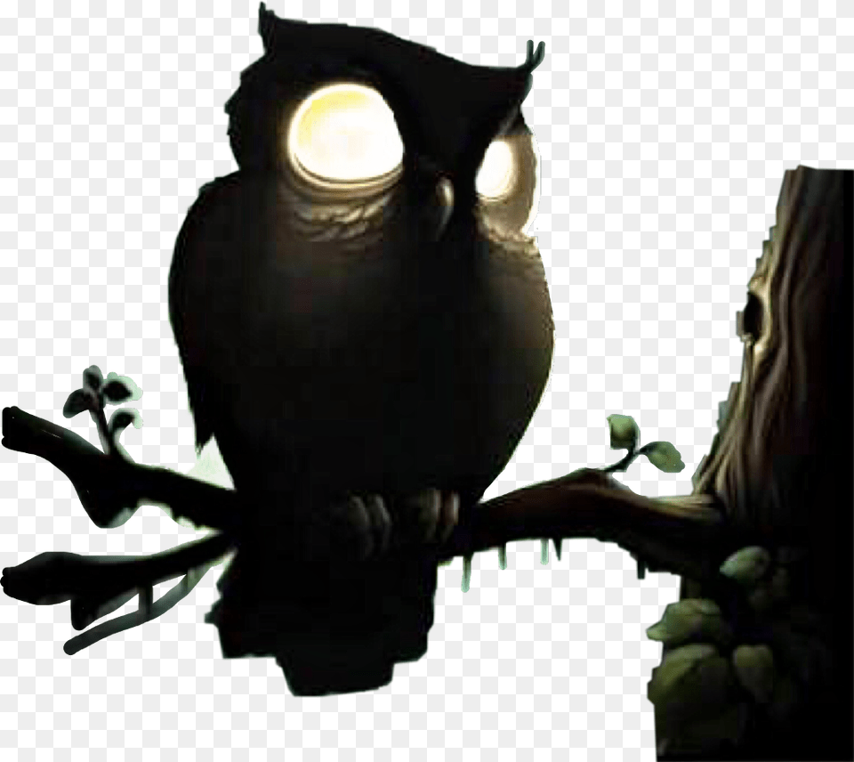 Owl Halloween Camping Scary Night Evil Watchingyou Creepy Owl For Halloween, Animal, Adult, Male, Man Png