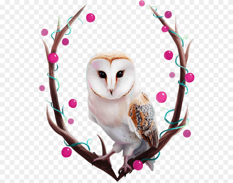 Owl Happy Birthday Barn Owl, Animal, Bird Png Image