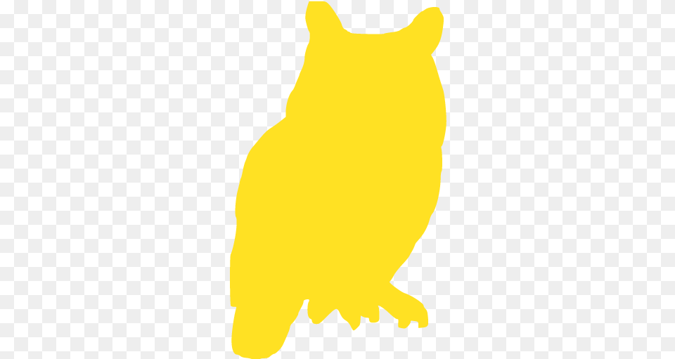 Owl Icons Transparent Soft, Baby, Person, Animal Png