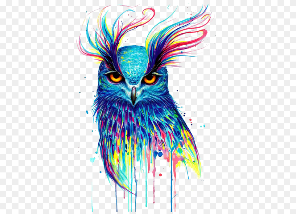 Owl Illustration Image Watercolor Owl, Animal, Beak, Bird, Art Free Png