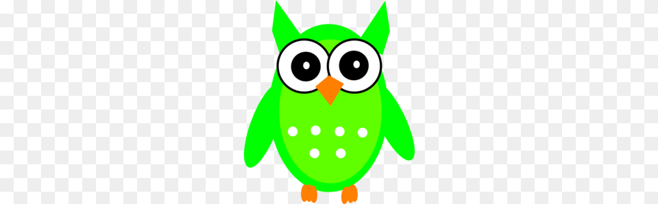 Owl Math Clipart, Green, Animal, Bear, Mammal Png Image