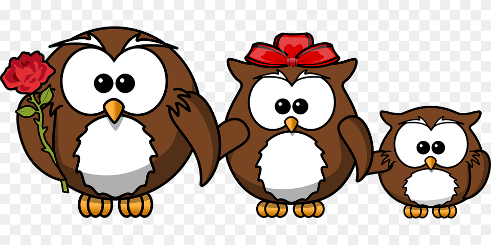 Owl Mediation Family Rosehall Lawyers, Baby, Person, Flower, Plant Free Png