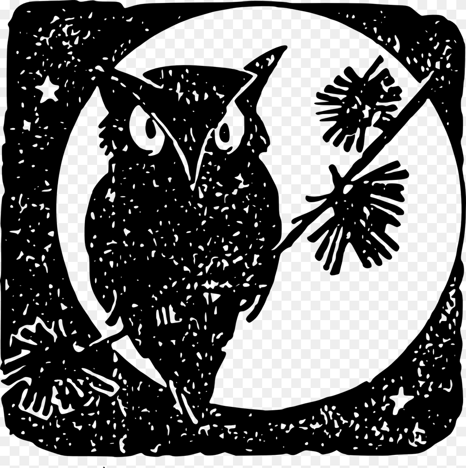 Owl Moon Bird Photo Gambar Burung Hantu Dan Bulan, Gray Free Transparent Png