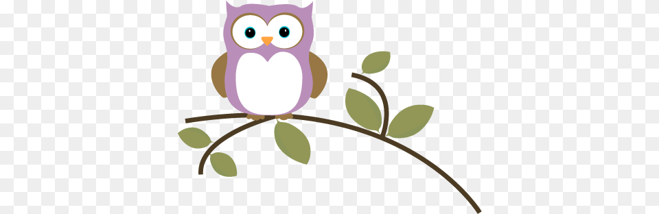 Owl Mrs Walser, Animal, Bird, Face, Head Png Image