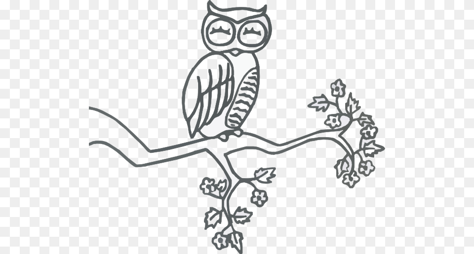 Owl On A Branch Clipart Black And White, Art, Face, Head, Person Png