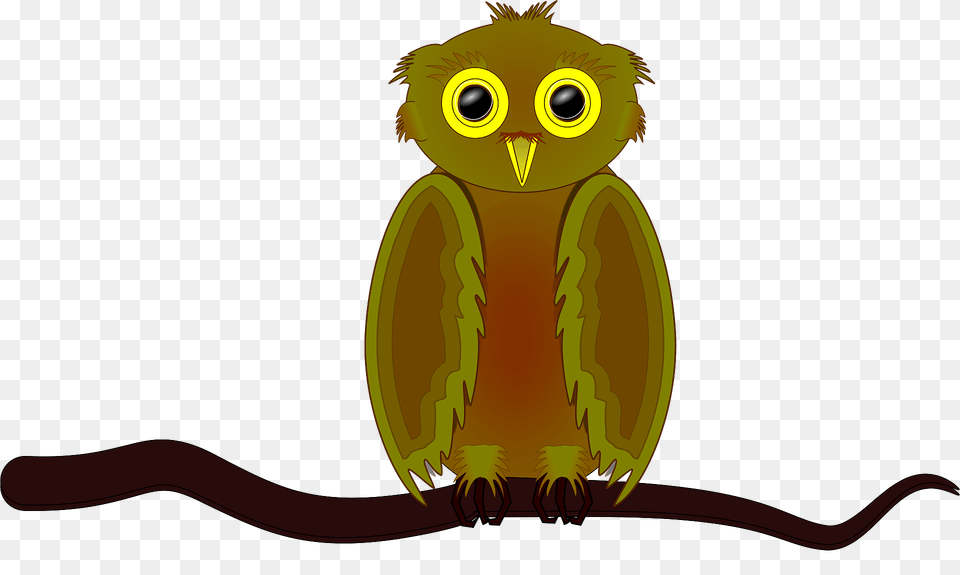 Owl On Branch Clipart, Animal, Bird Free Transparent Png