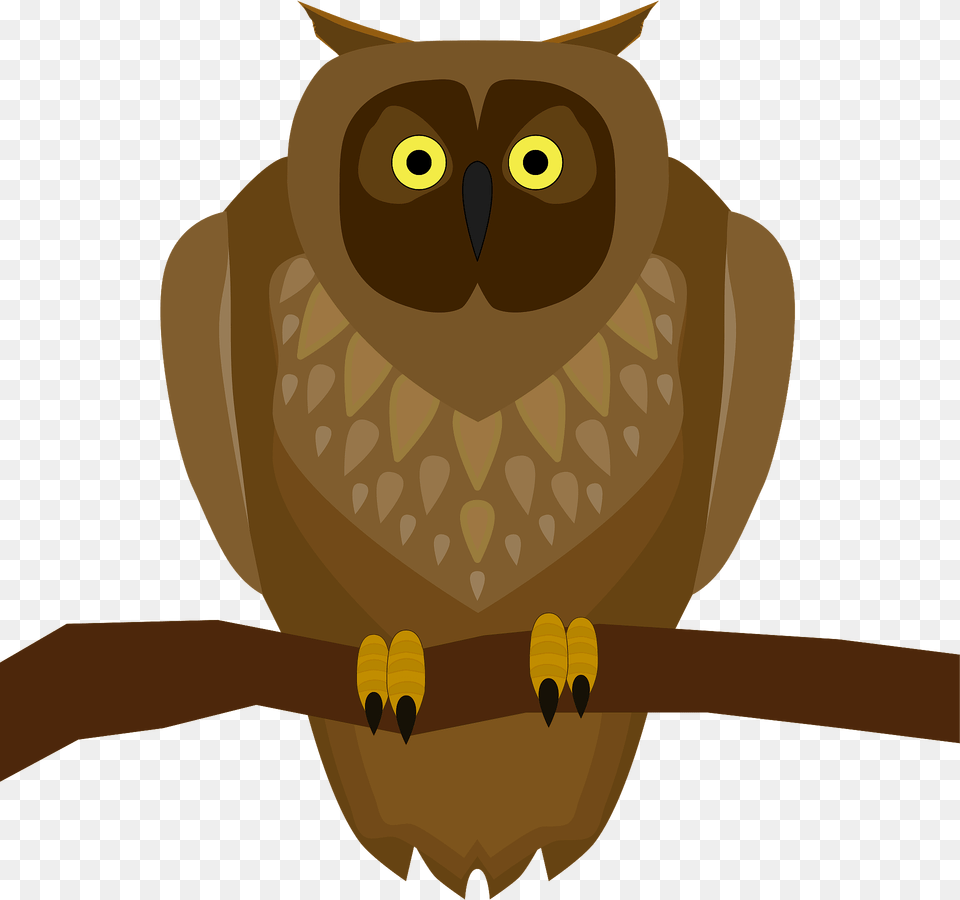 Owl On Branch Clipart, Animal, Bird, Fish, Sea Life Png Image