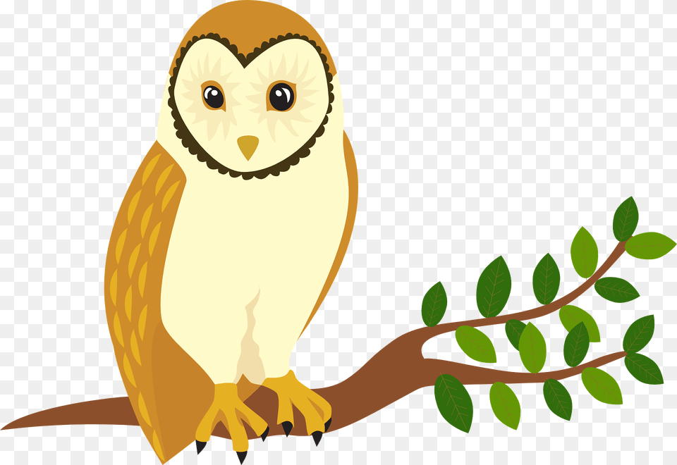 Owl On Branch Clipart, Animal, Bird, Fish, Sea Life Free Png Download