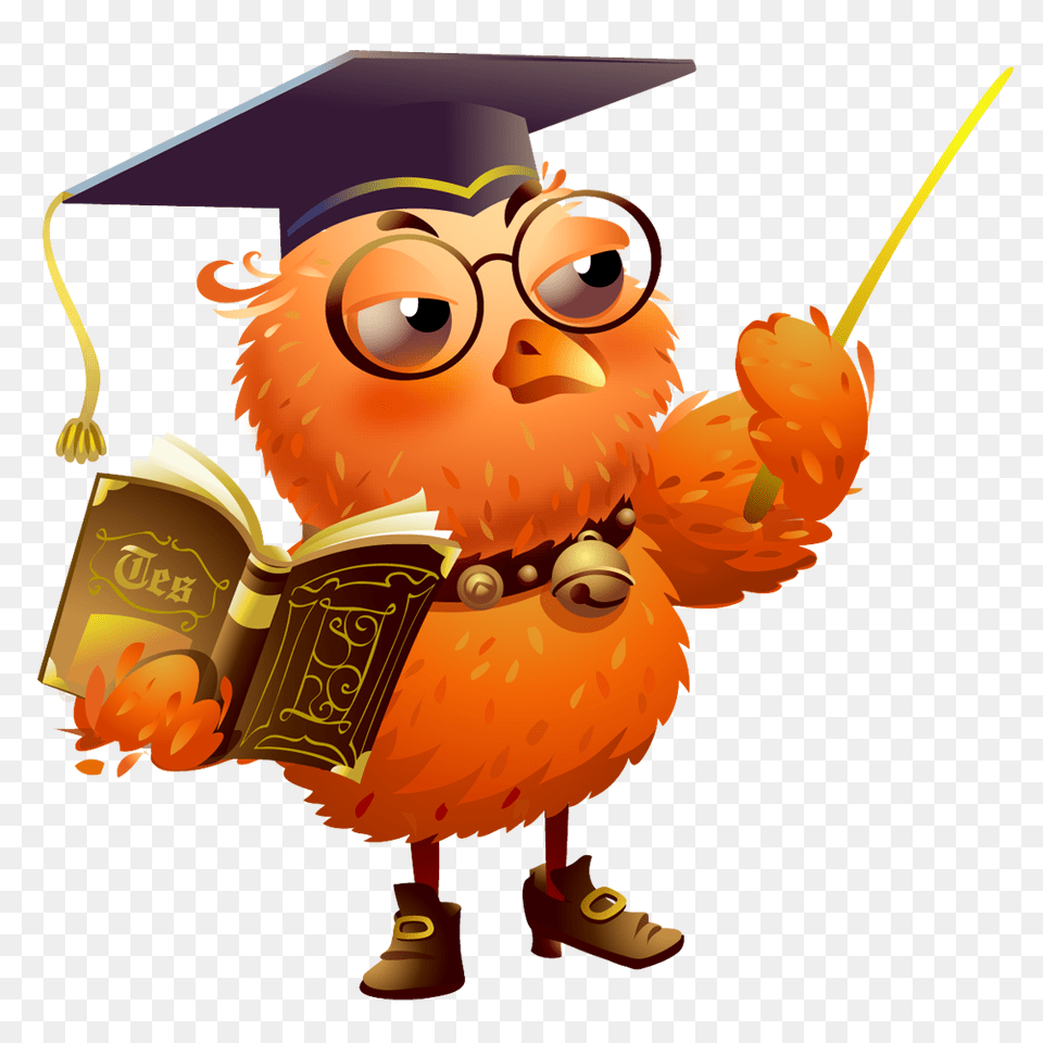 Owl Owls, People, Person, Graduation, Baby Free Png