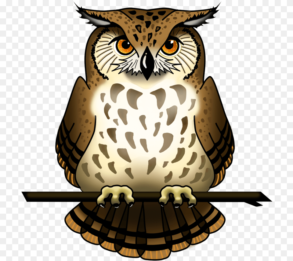 Owl Picture Of Owl, Animal, Bird, Beak Png Image