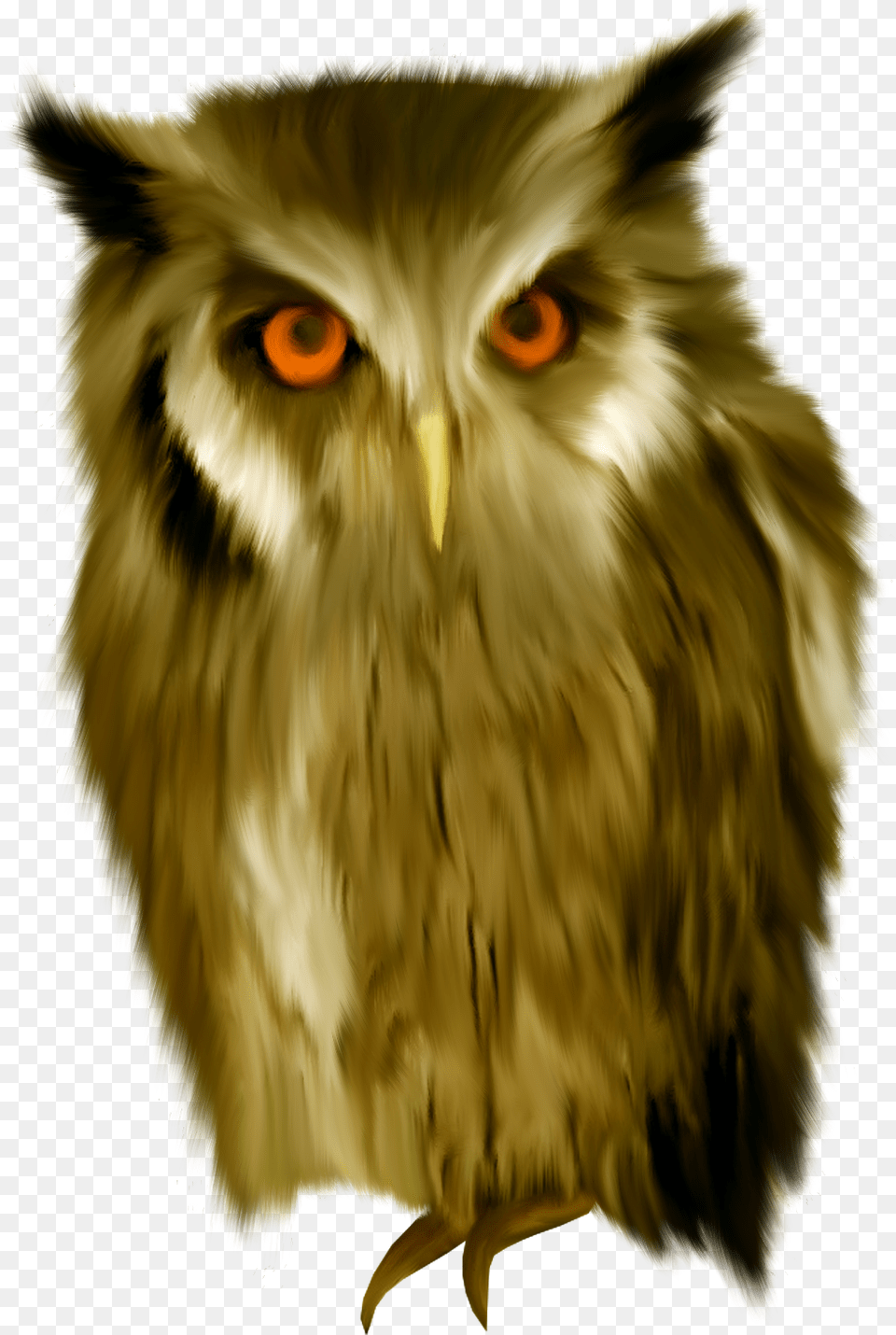 Owl Prey, Animal, Bird, Beak Png Image