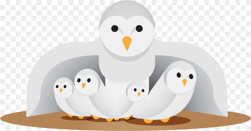 Owl Protecting Her Owlets, Animal, Bird, Penguin, Beak Free Png Download