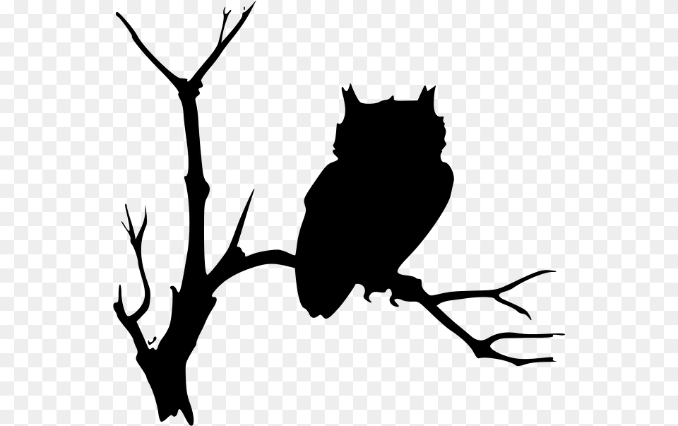 Owl Shilloutte On Limb Hogwarts Clipart Black And White Collection, Gray Free Transparent Png