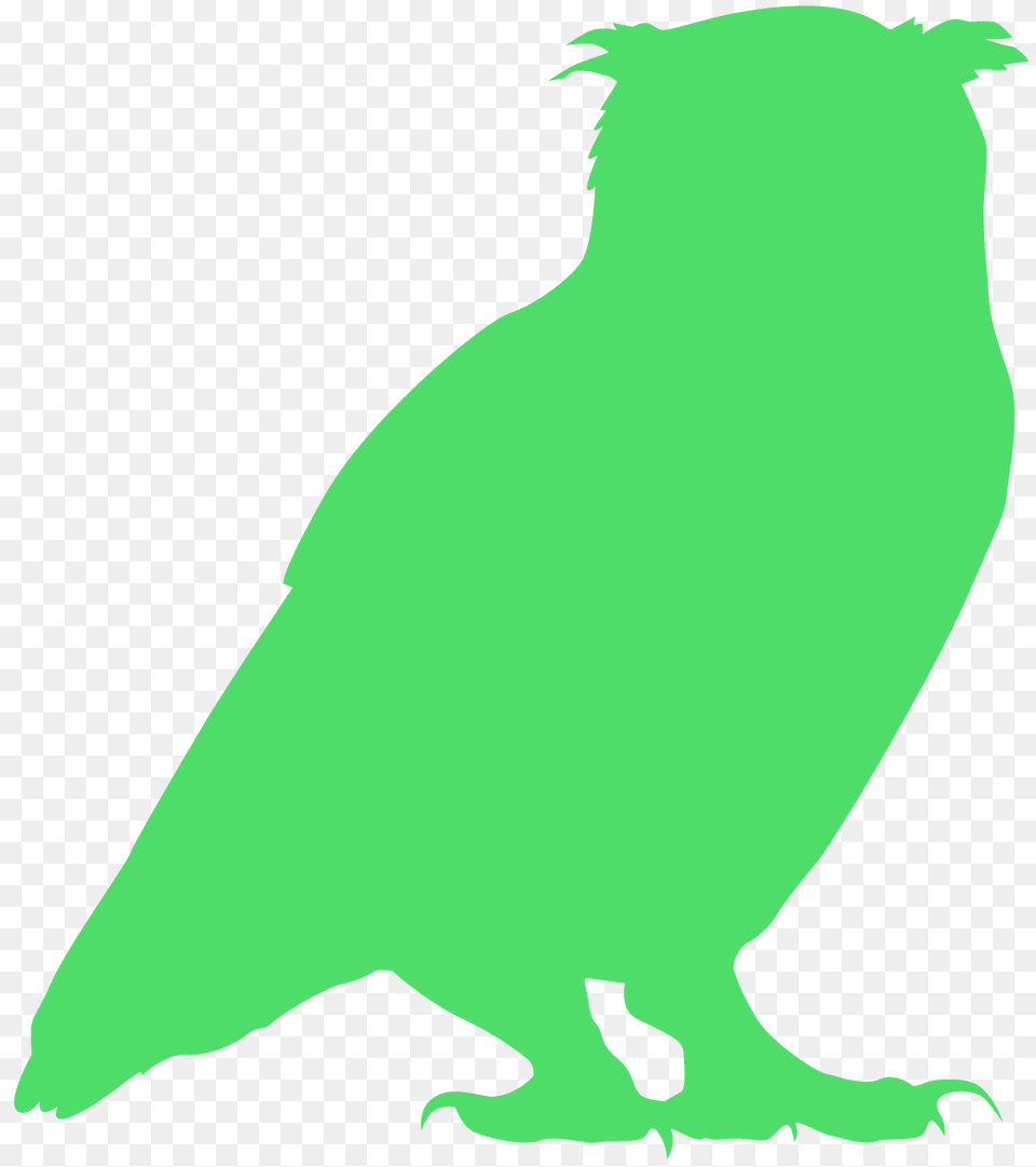 Owl Silhouette, Animal, Bear, Mammal, Wildlife Png