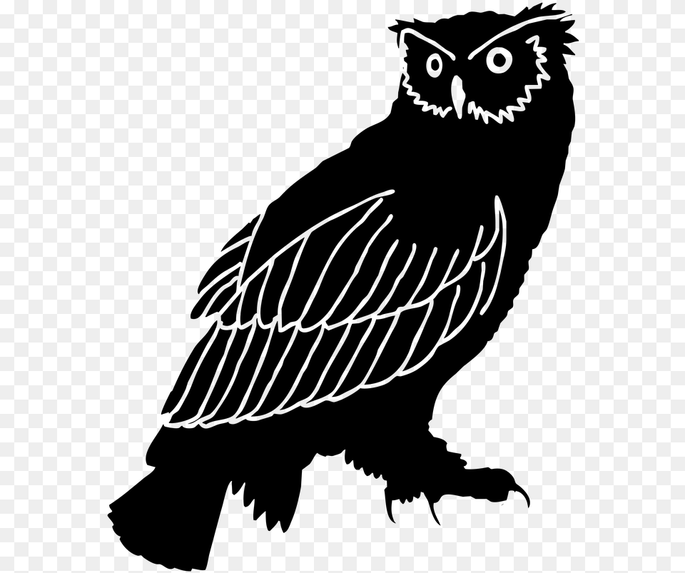 Owl Silhouette Bird Black And White Clip Art Great Horned Owl Silhouette, Gray Free Png Download