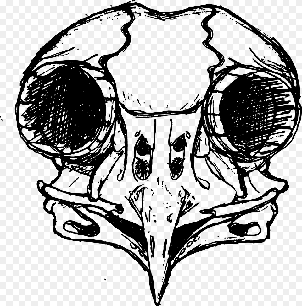 Owl Skull Owl Skull Drawing, Art, Adult, Male, Man Png Image