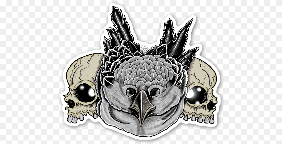 Owl Skull Sticker Owl, Animal, Beak, Bird, Art Free Png Download
