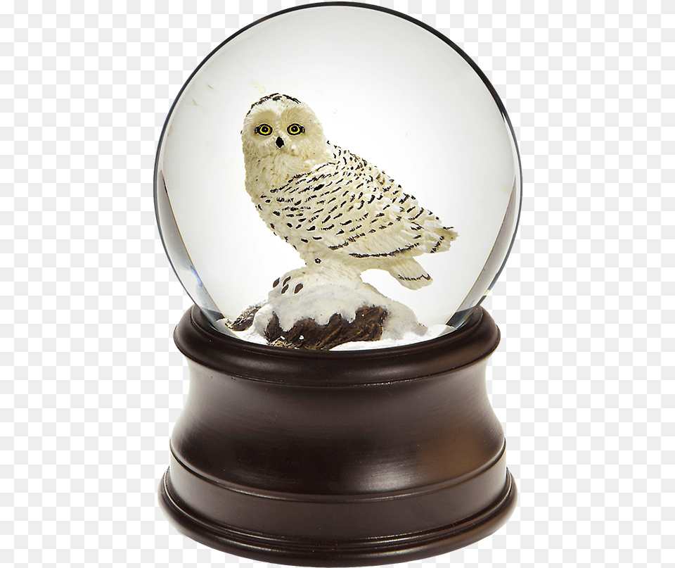 Owl Snow Globe, Sphere, Photography, Animal, Bird Png Image