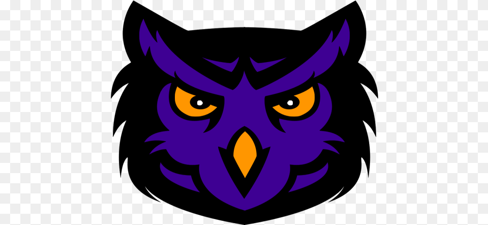 Owl Sports Logo Logodix Owl Sports Logo, Baby, Person, Symbol, Face Free Png Download