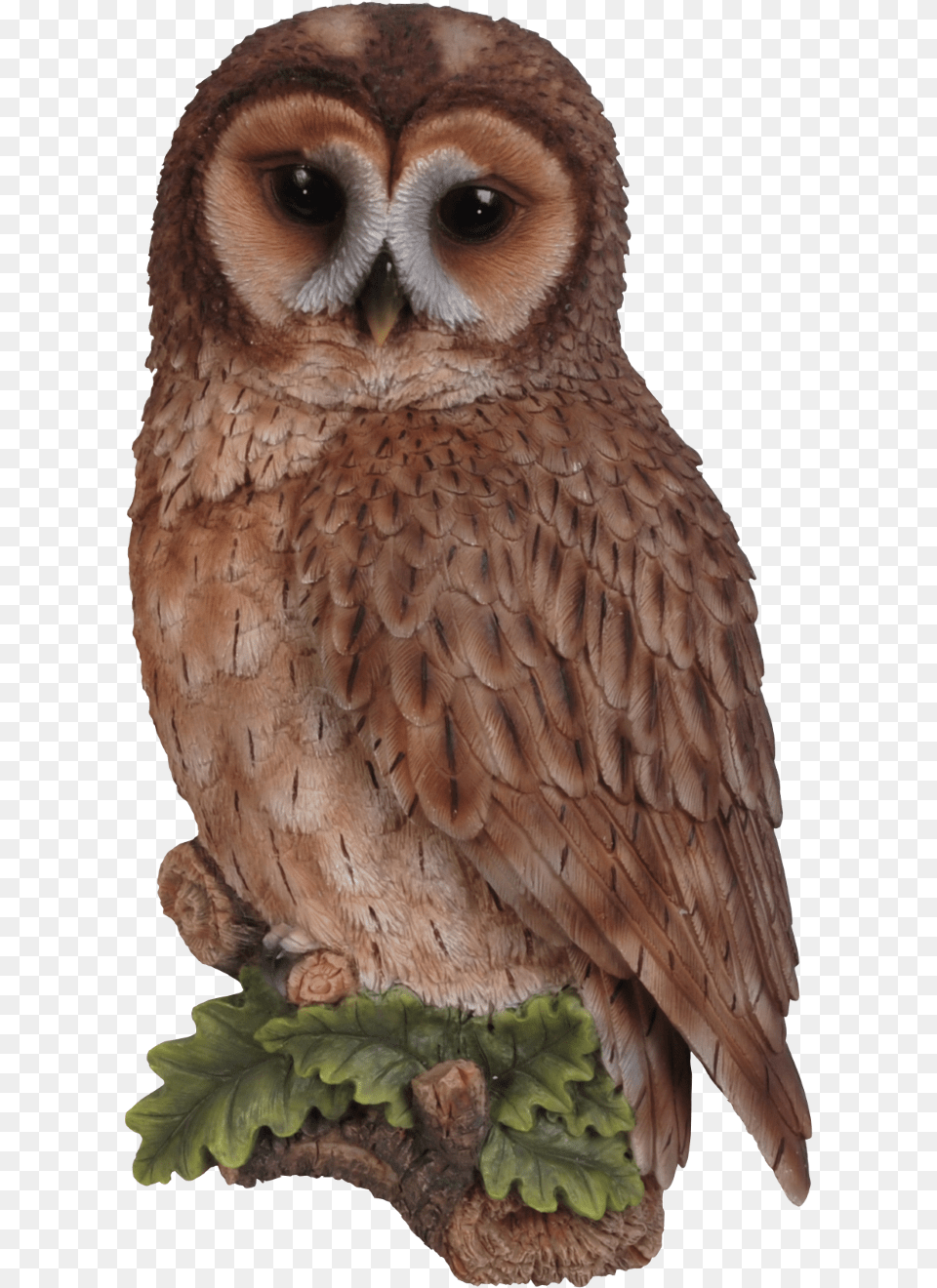 Owl Transparent Vivid Arts Tawny Owl Plaque, Animal, Bird Free Png Download
