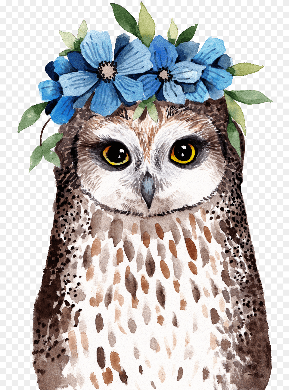 Owl Transparent Wearing Flowers Watercolor Owl Transparent Background, Animal, Bird, Art Png Image