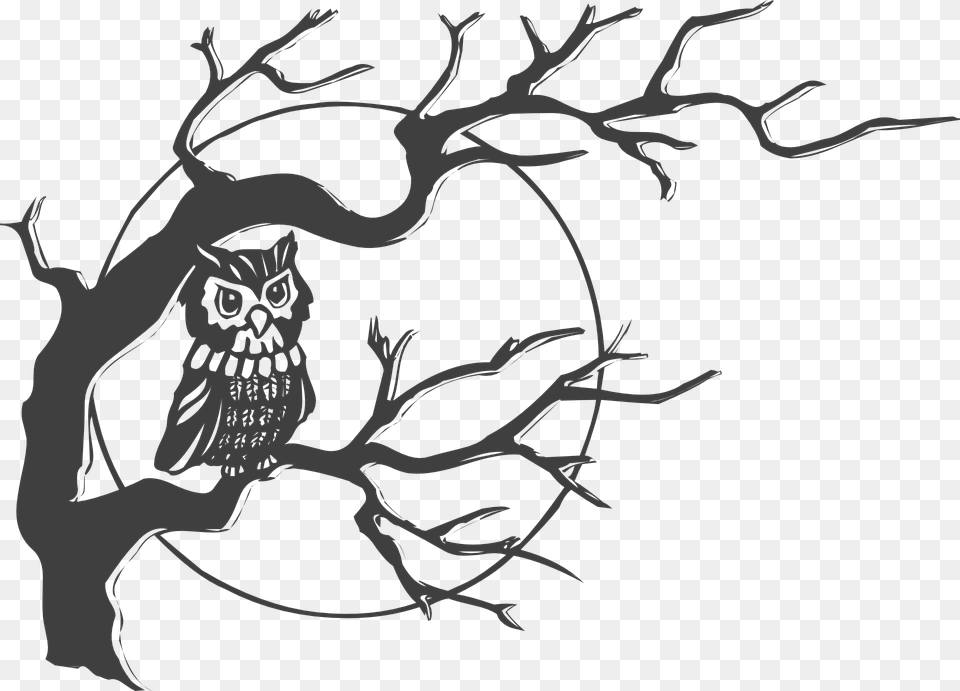 Owl Tree Moon Owl In A Tree Clipart, Stencil, Art, Drawing, Adult Free Transparent Png