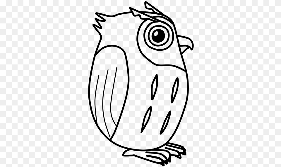 Owl Vector Cute Bird Owl, Gray Png